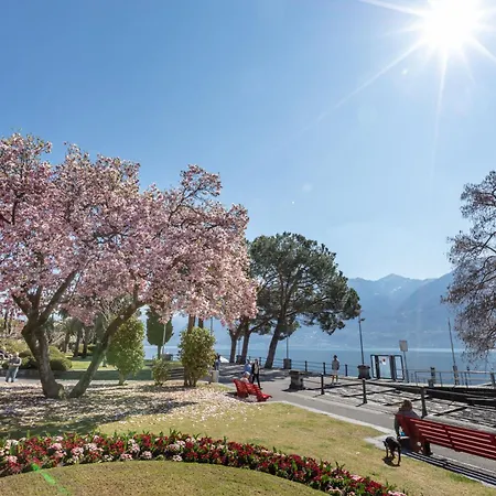 Appartments Da Gina-3 By Interhome Apartment Ascona